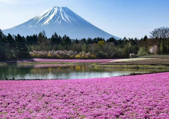 定制日本深度游！